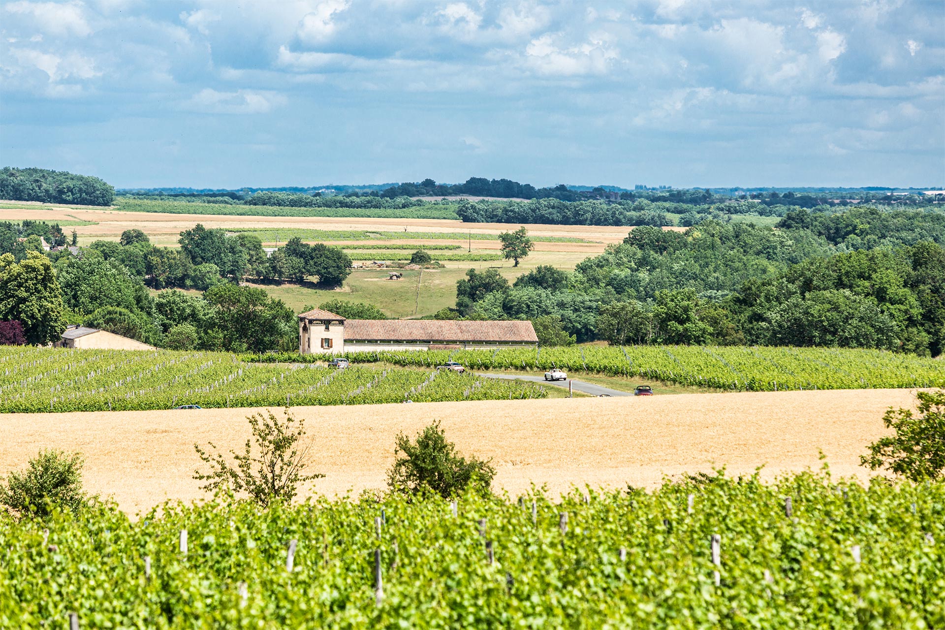 Bergerac-Vineyards